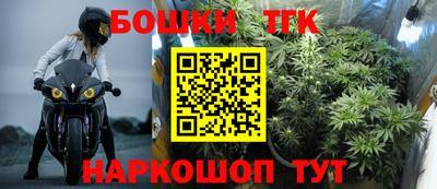 индика Жуковский