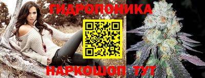 индика Жуковский